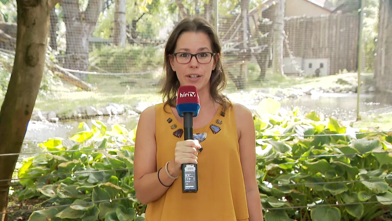 A fővárosi állatkertben tartják a sérült gyermekek napját