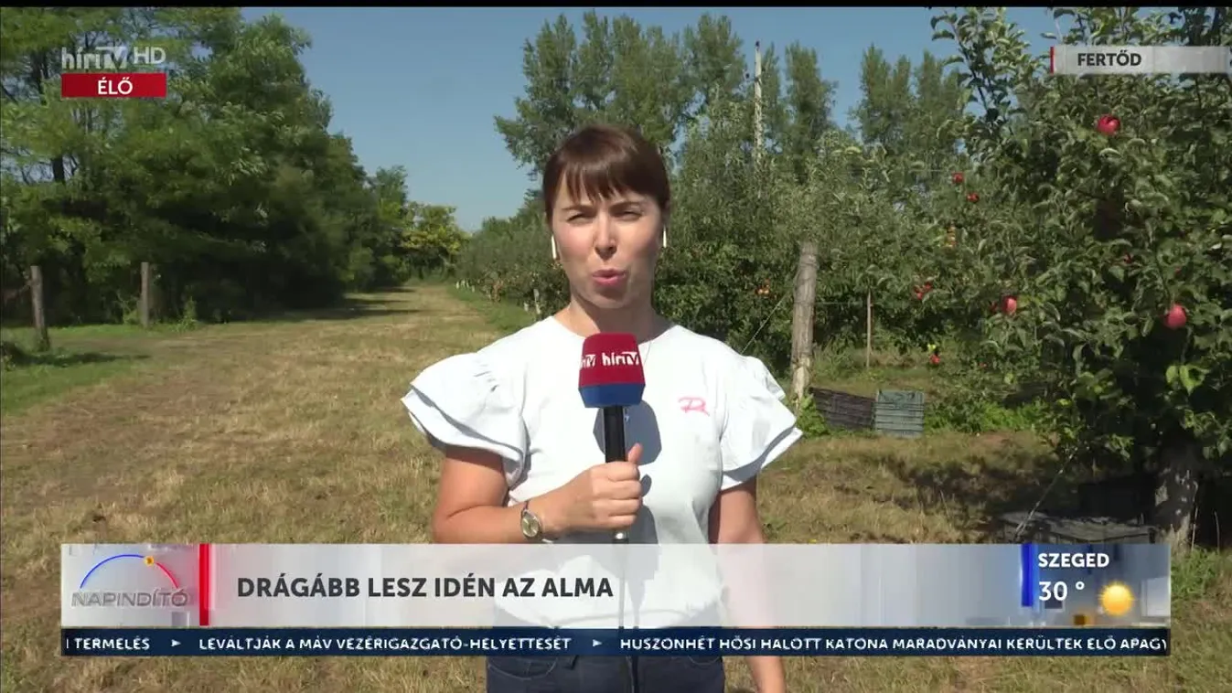 Napindító – Drágább lesz idén az alma (2023-09-07)