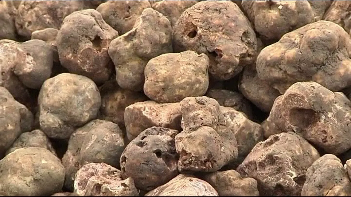 Radar - Kincs a föld alatt