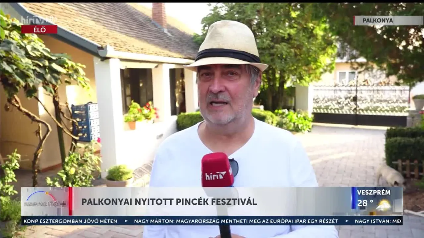 Napindító - Palkonyai nyitott pincék fesztivál (2023-09-13)