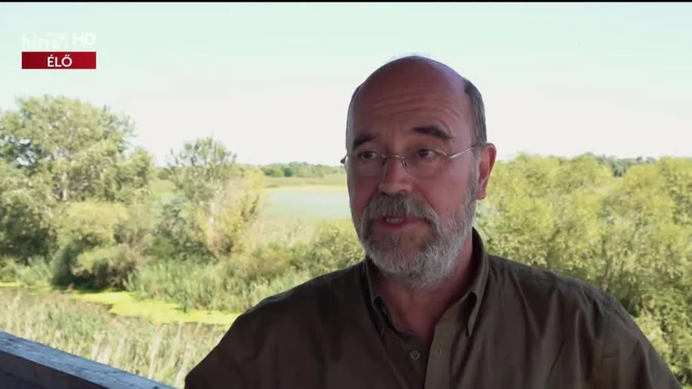 Radar - Mesebeli kilátó a tó közepén