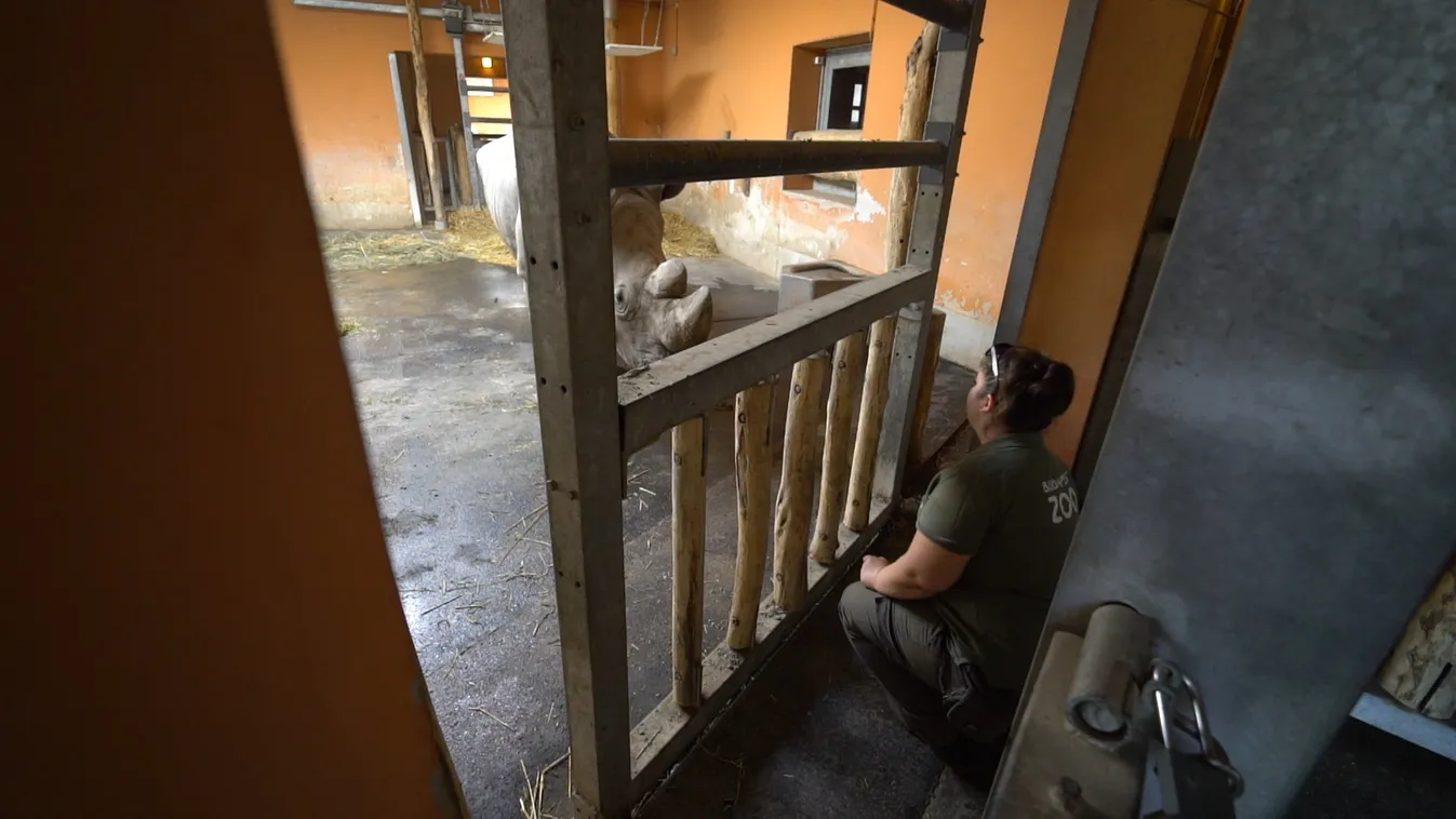 Radar - Állatkerti biztonság