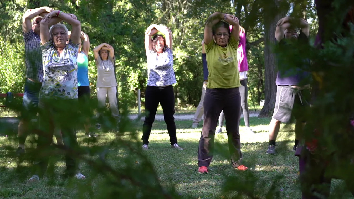 Radar - Fizioterápia világnapja