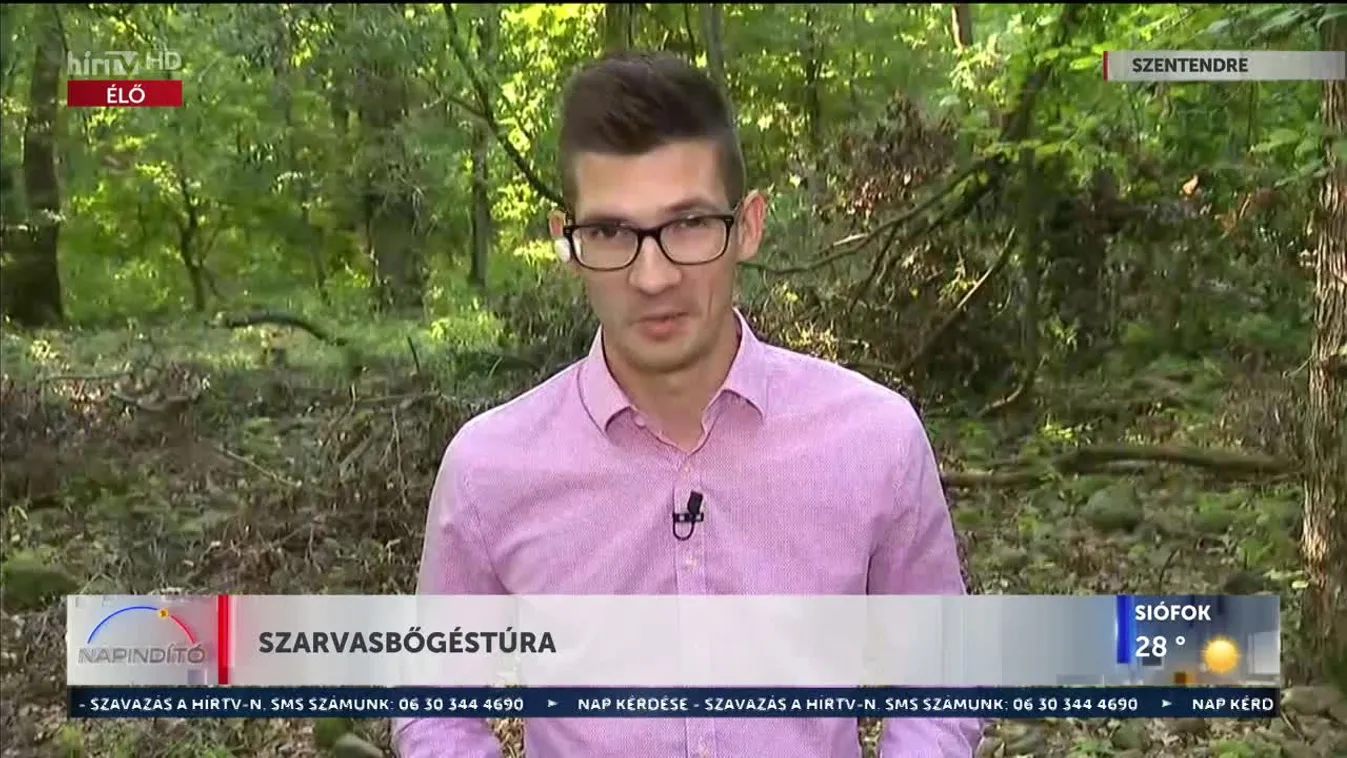 Napindító - Szarvasbőgéstúra