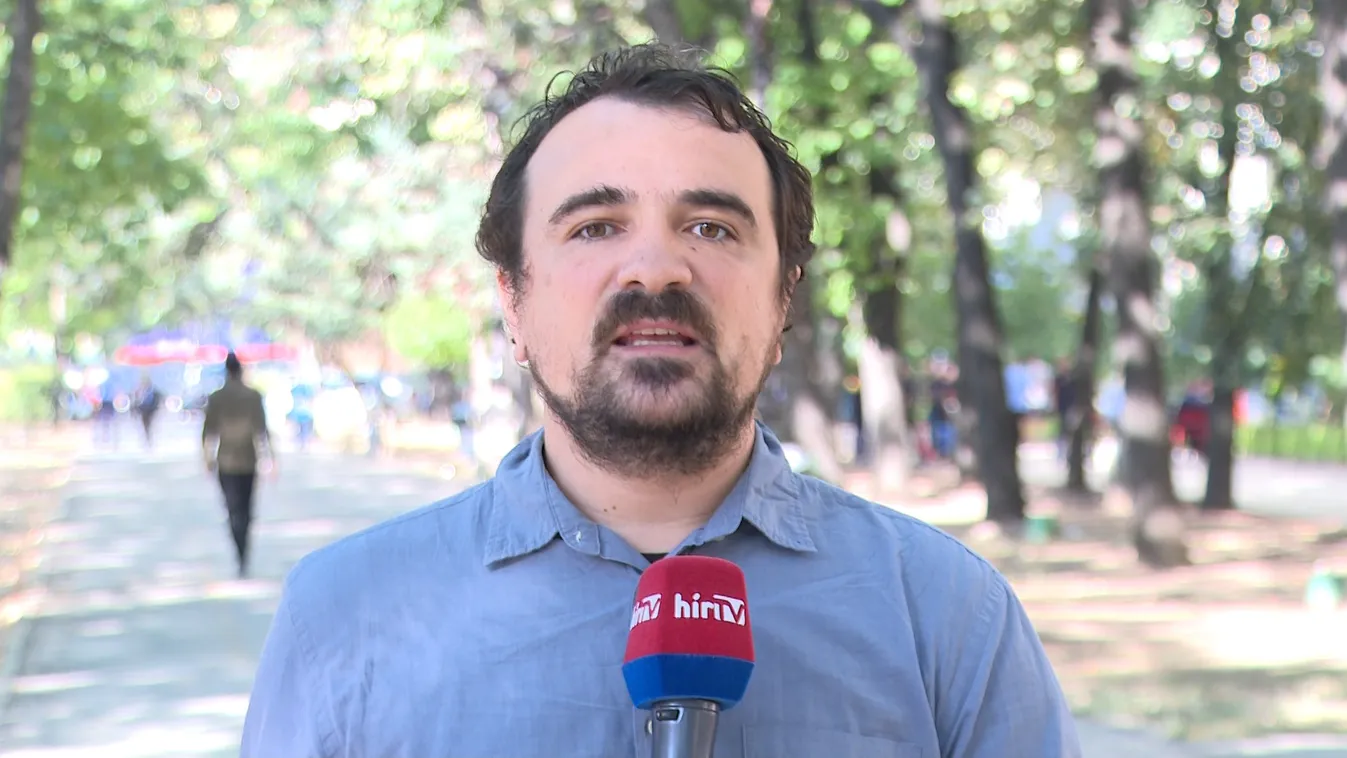 Nem jut elég élőhely a medvéknek Romániában