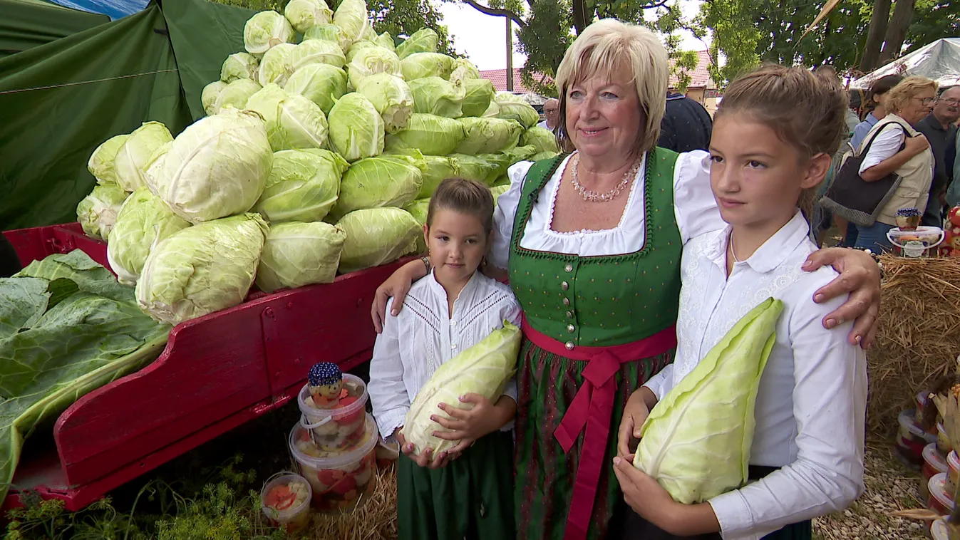 Radar - Vecsési Káposztafeszt
