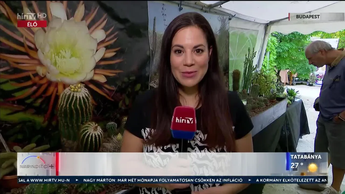 Napindító - Dél-Amerika növényvilága  az ELTE Füvészkertben