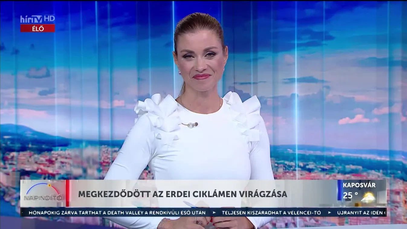 Napindító - Megkezdődött az erdei ciklámen virágzása (2023-09-05)