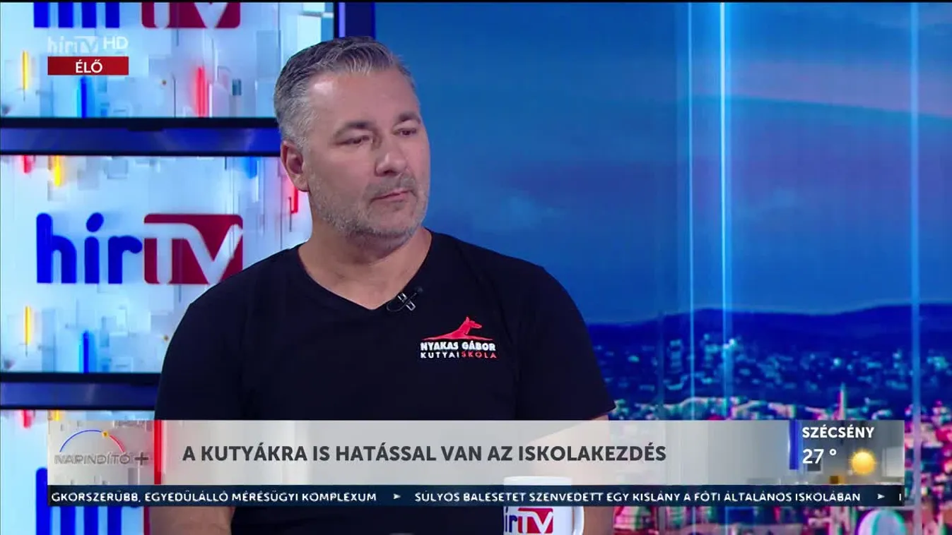 Napindító - A kutyákra is hatással van az iskolakezdés