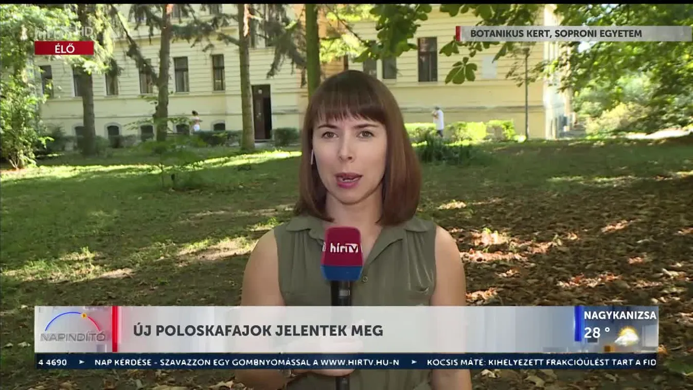 Napindító - Új poloskafajok jelentek meg (2023-09-13)