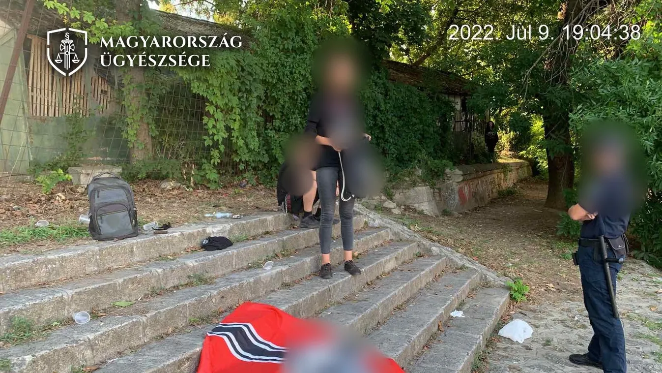 Horogkeresztes zászló lobogtatása miatt vádat emeltek egy 15 éves fiú ellen