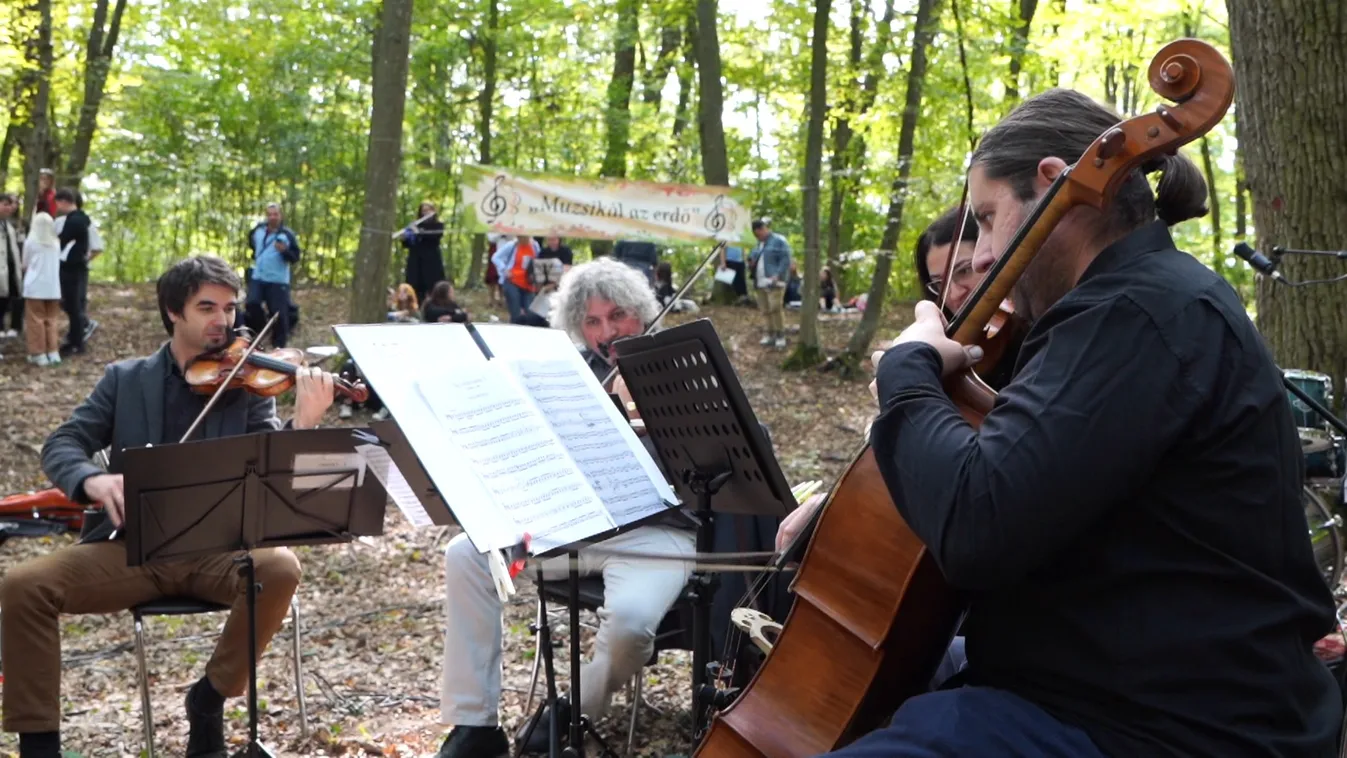 20. alkalommal rendezték meg a Muzsikál az erdő eseménysorozatot