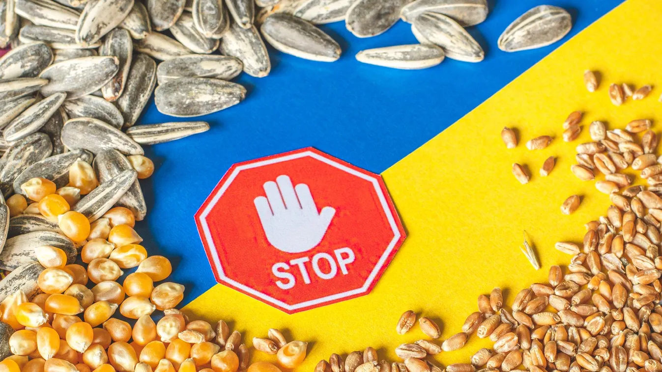 Románia engedélyhez köti és korlátozza egyes mezőgazdasági termékek importját Ukrajnából és Moldovából