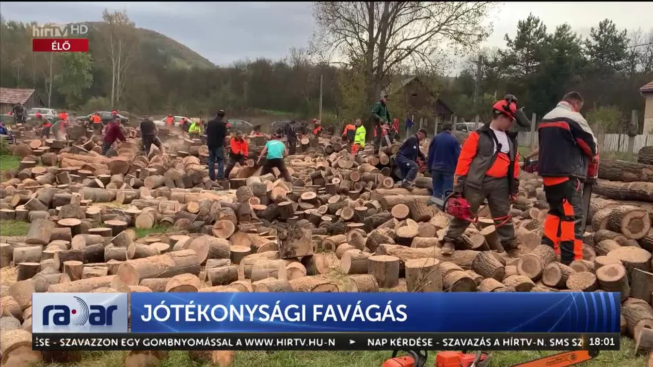 Radar - Jótékonysági favágás (2023-10-26)