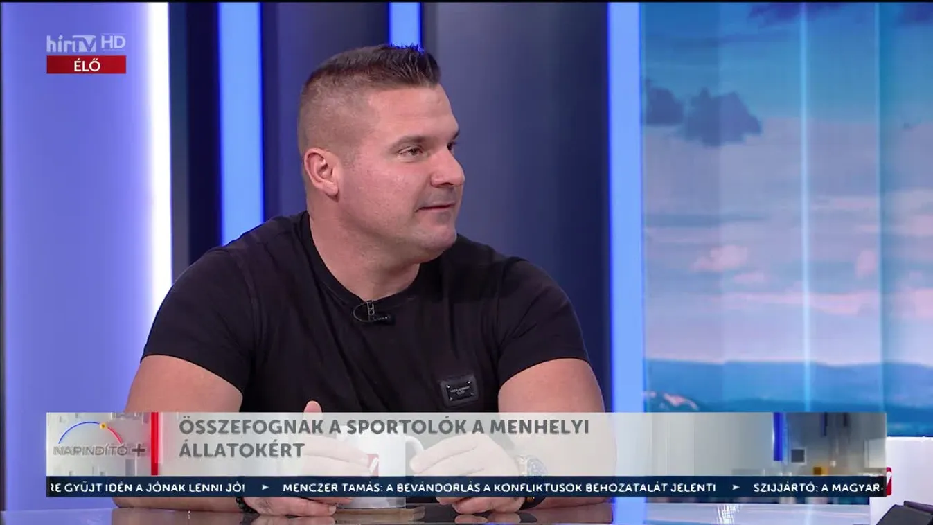 Napindító – Összefognak a sportolók a menhelyi állatokért (2023-10-18)