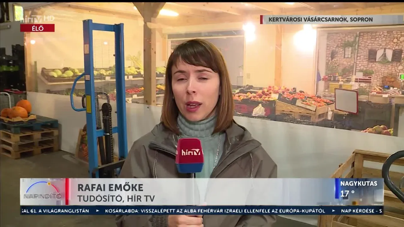 Napindító - Ehető és mérgező tökfajták a piacon (2023-10-31)