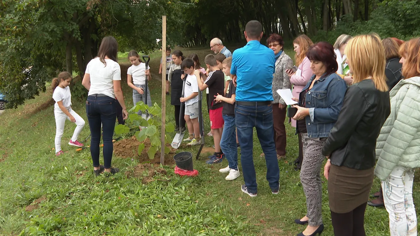 Faültetéssel csatlakoztak az Országos Könyvtári Napokhoz Zalaegerszegen