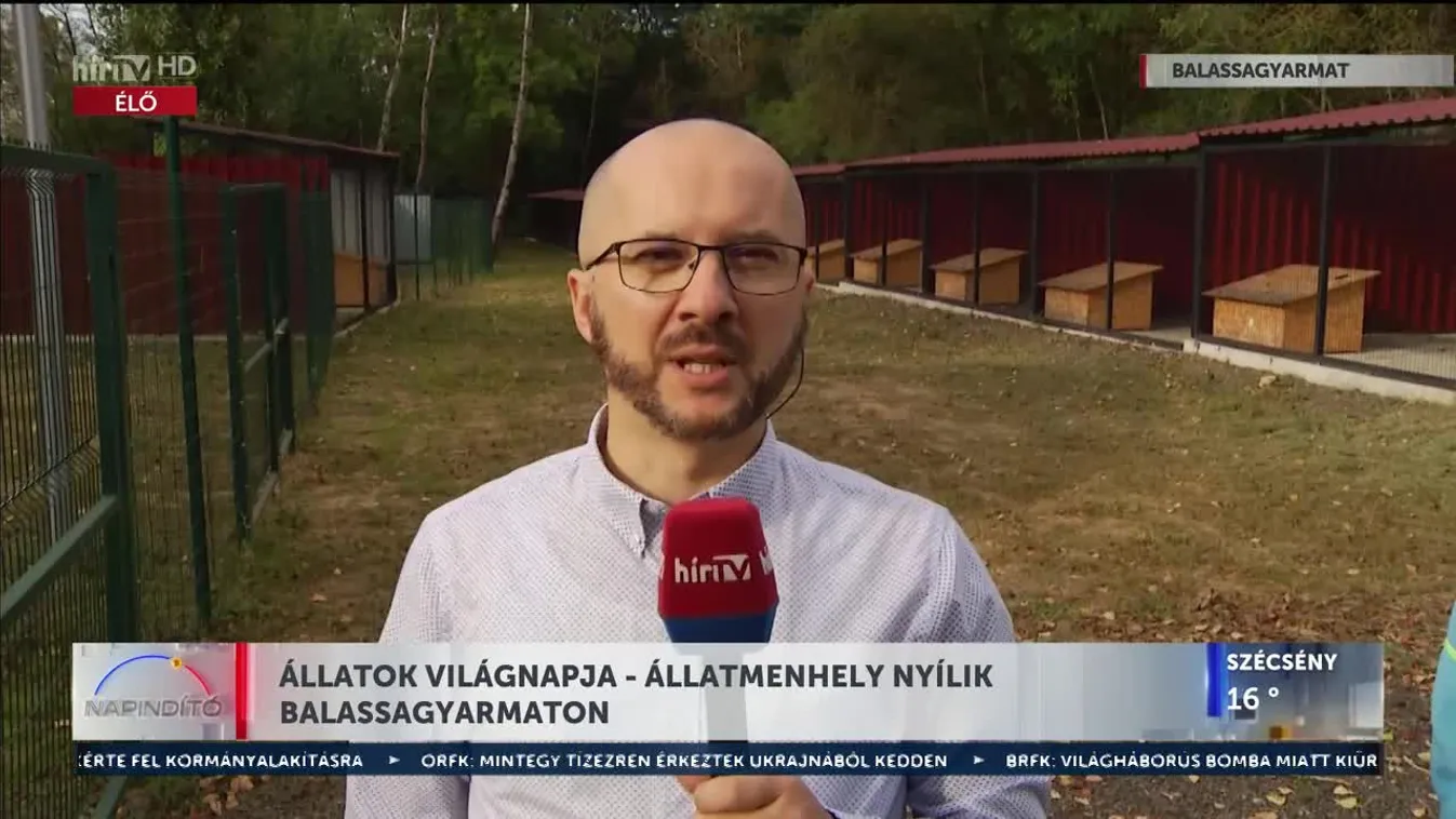 Napindító - Állatok világnapja – állatmenhely nyílik Balassagyarmaton (2023-10-04)