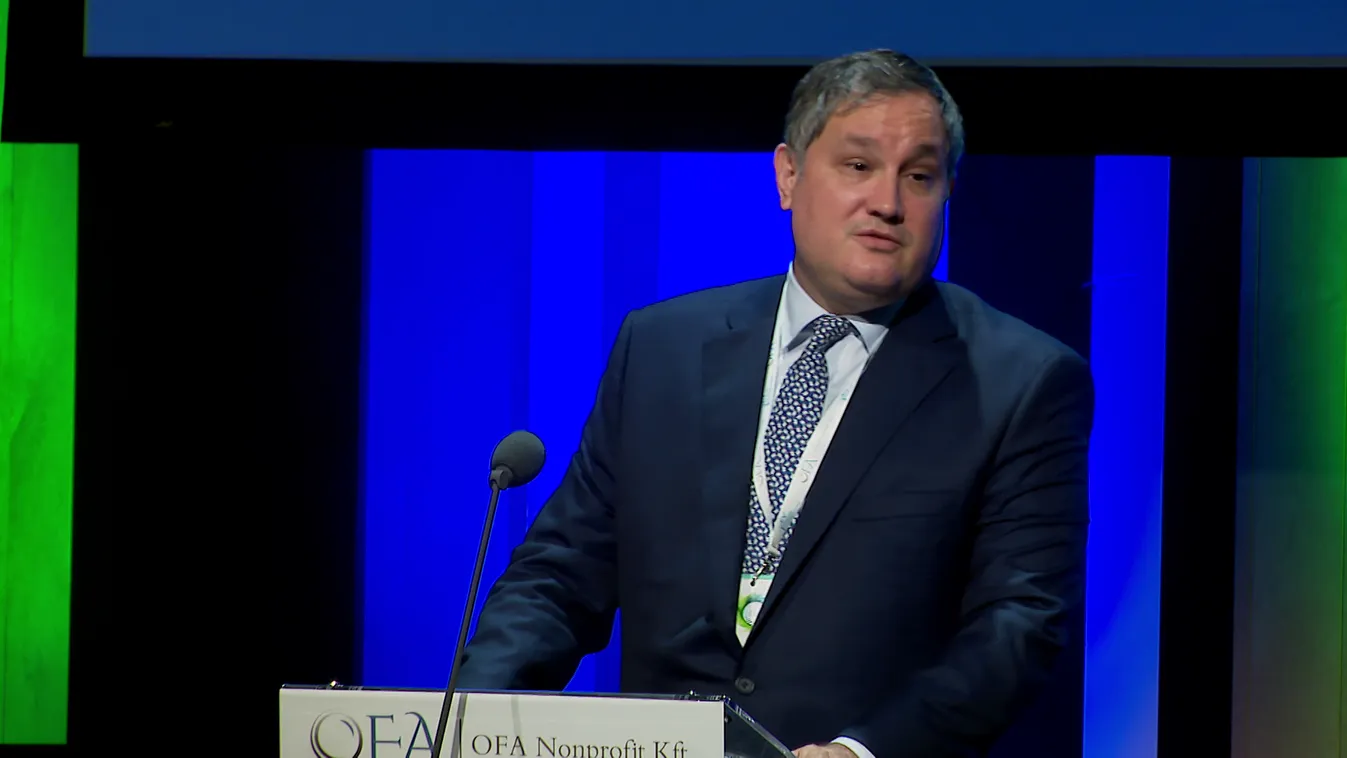 Nagy Márton: Az akkumulátoriparnak lesz a legfontosabb szerepe