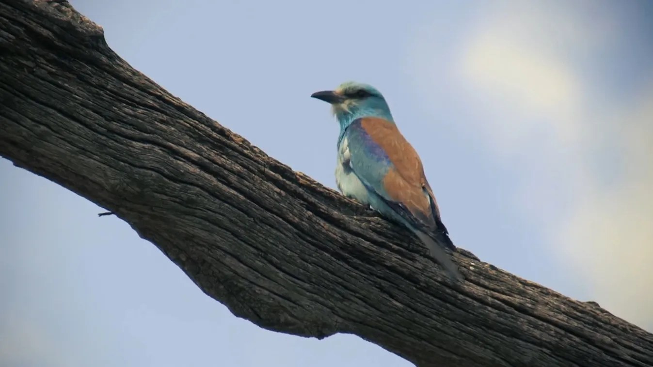 Radar – A Mátra kincsei