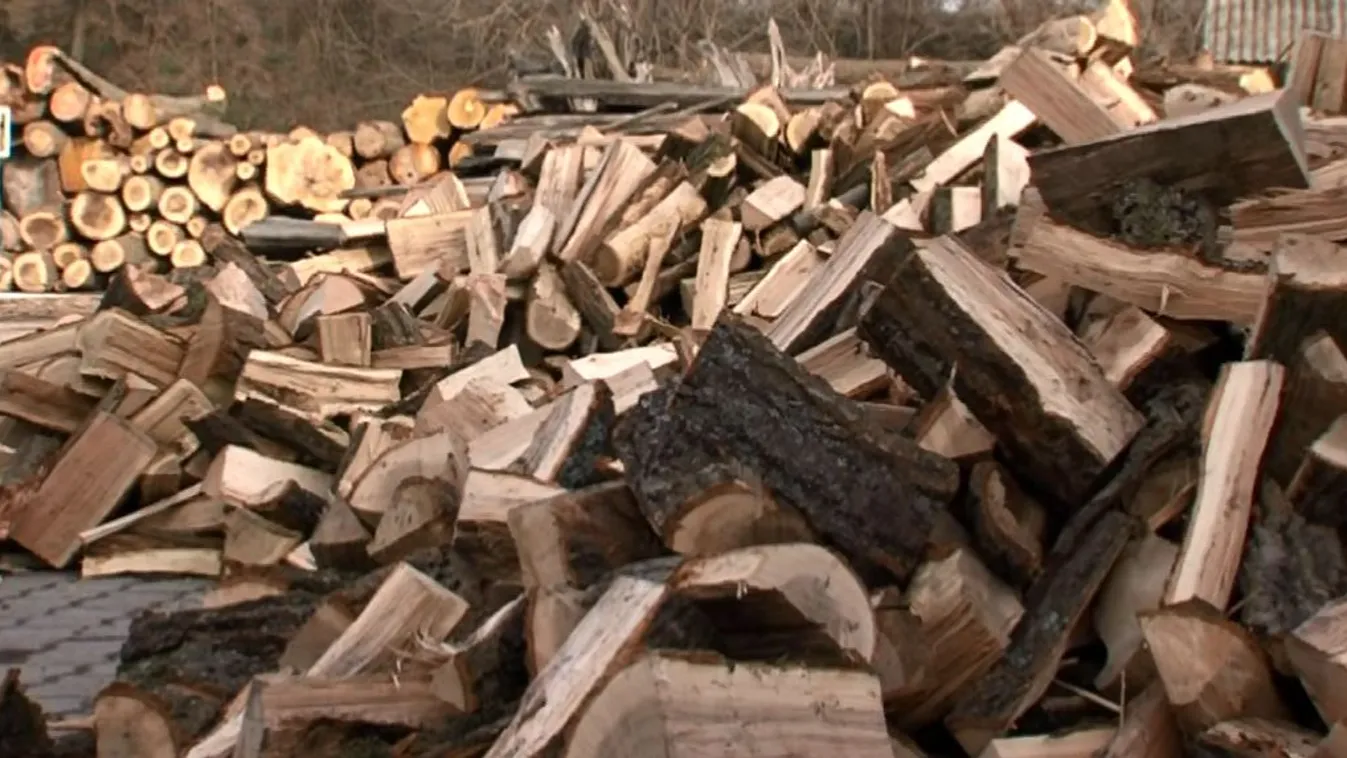 Megfelelő mennyiségben és minőségben is rendelkezésre áll a tűzifa