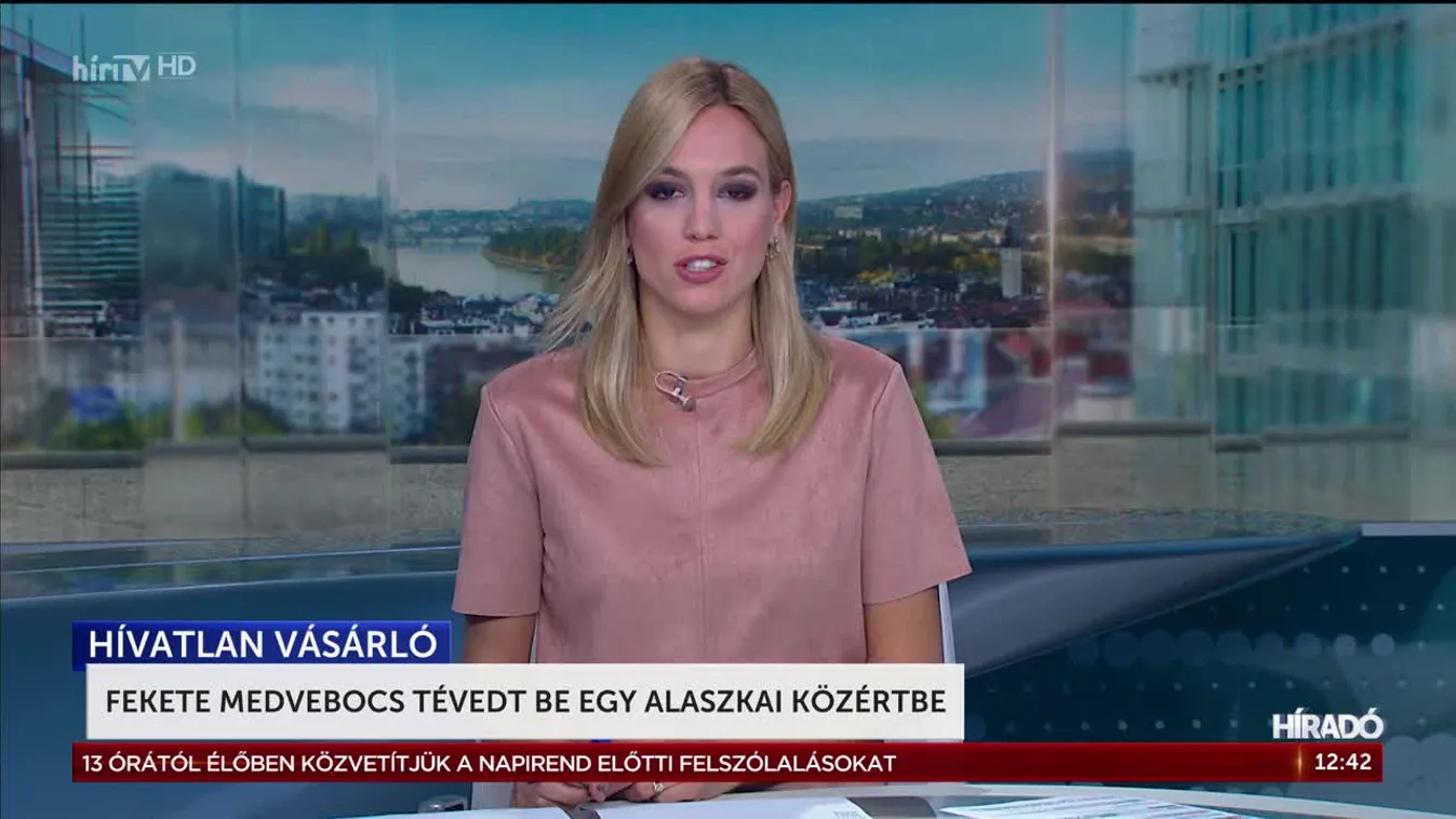 Fekete medvebocs tévedt be egy alaszkai közértbe