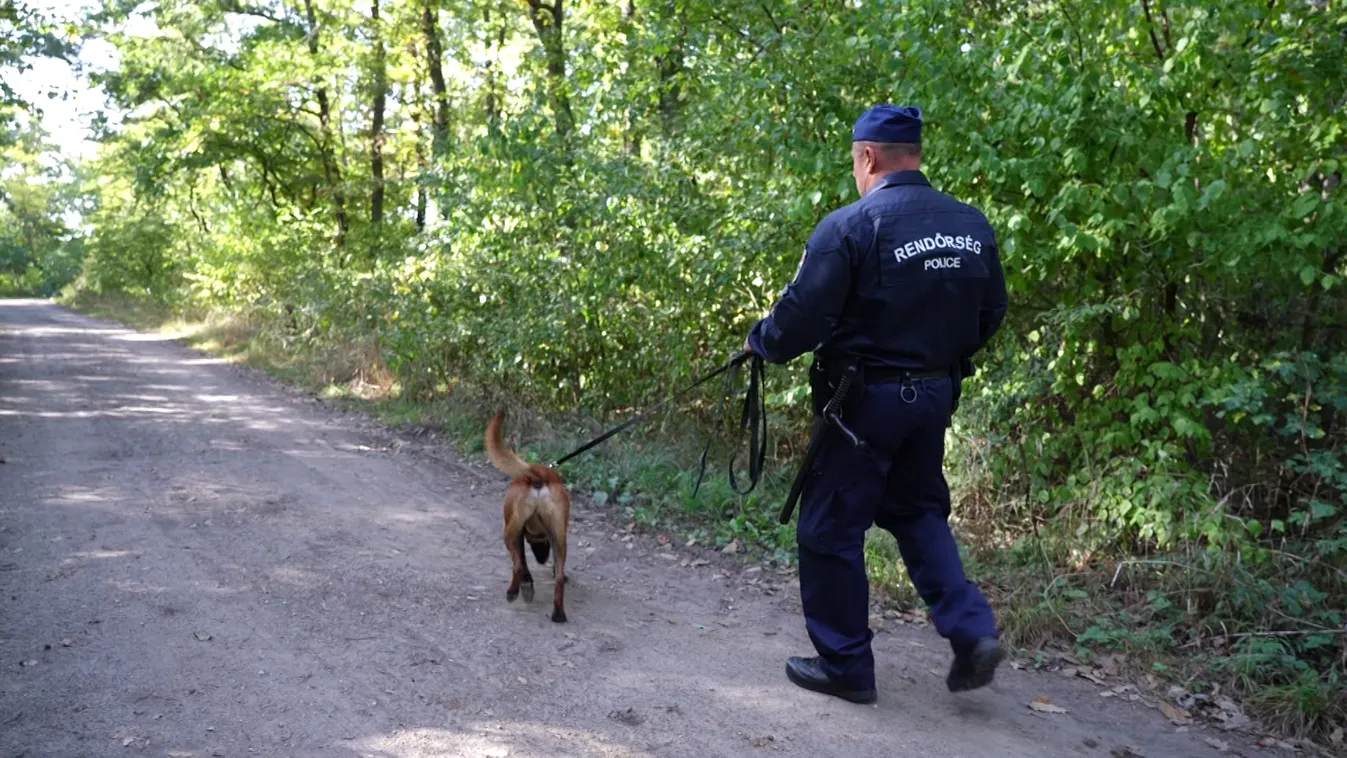 Radar - Szagolnak és védenek