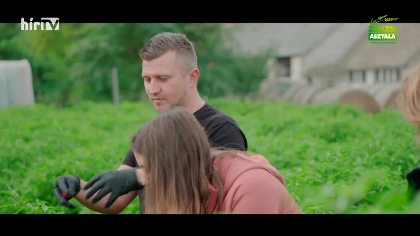 Zsuzsi asztala (2023-10-28)