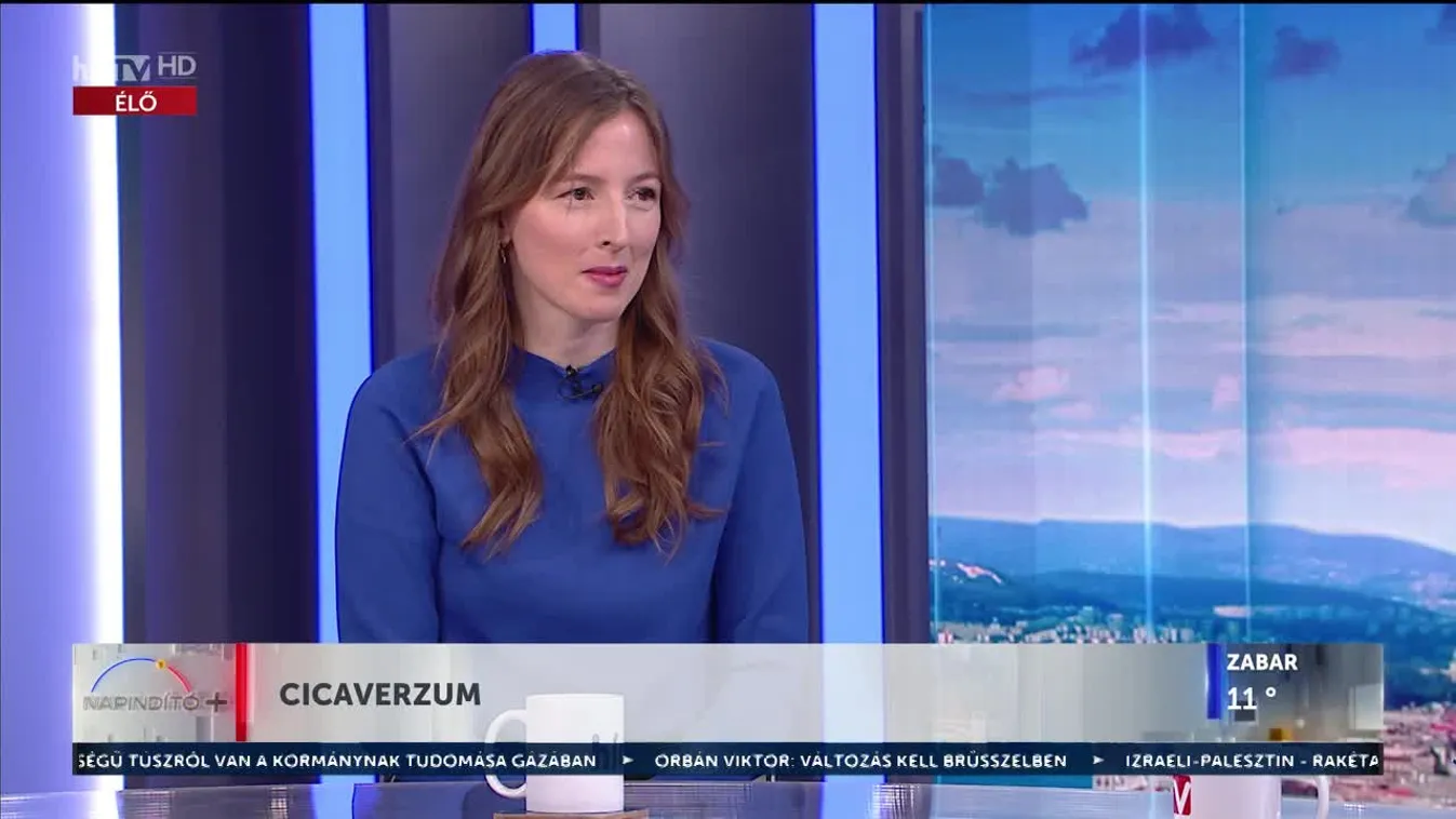 Napindító - Cicaverzum (2023-10-27)