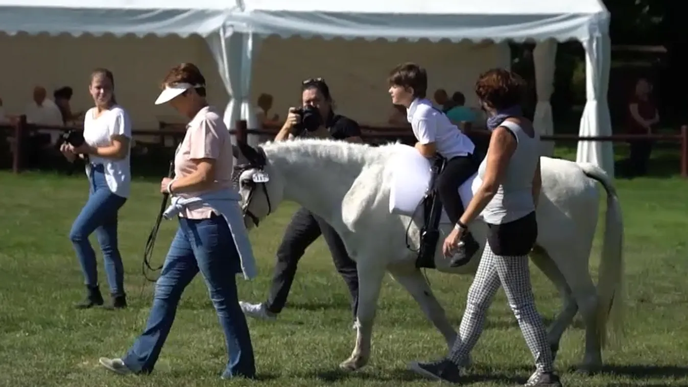 Radar - 19. alkalommal rendeztek lovasterápiás versenyt Fóton