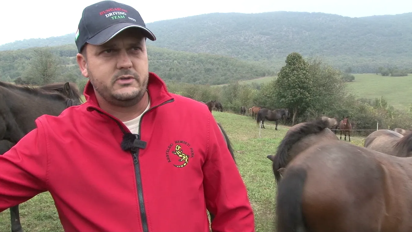 Radar - Hazánk legnagyobb hucul ménese