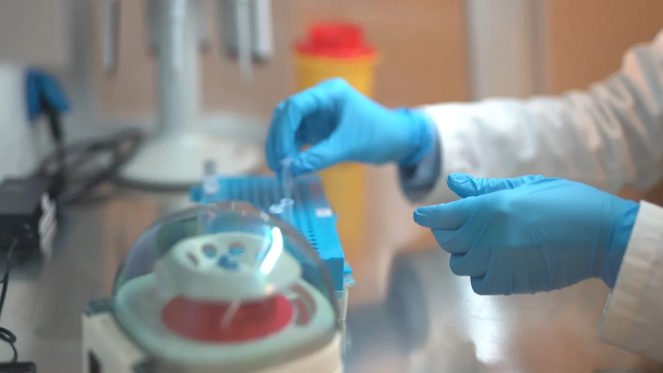 Radar – Innovatív eljárás a vastagbélrák felismerésében