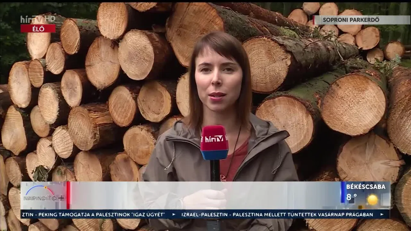 Napindító - Megnövekedett szúkárok (2023-10-16)