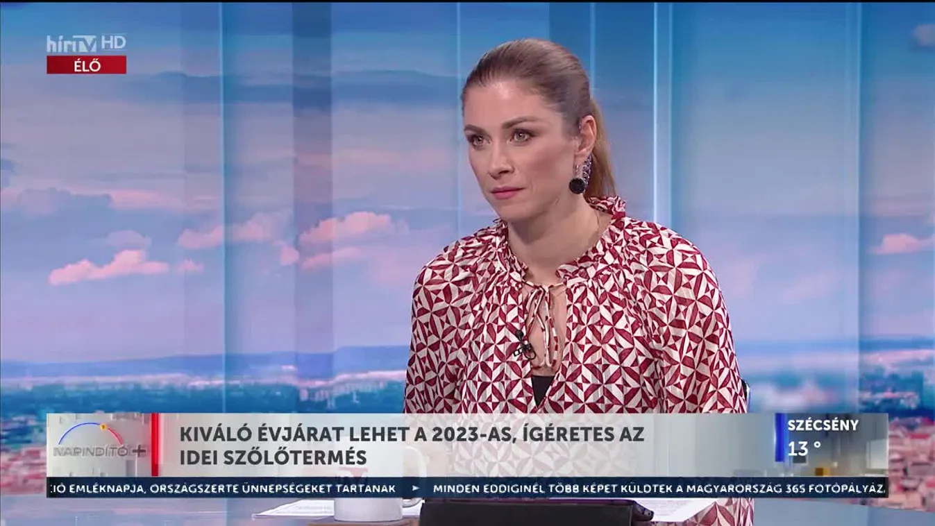 Napindító - Kiváló évjárat lehet a 2023-as, ígéretes az idei szőlőtermés (2023-10-31)