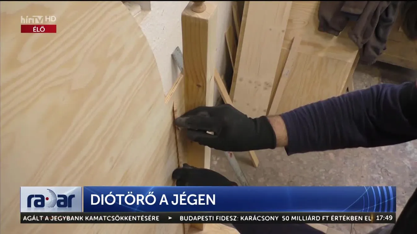 Radar - Diótörő a jégen (2023-10-24)