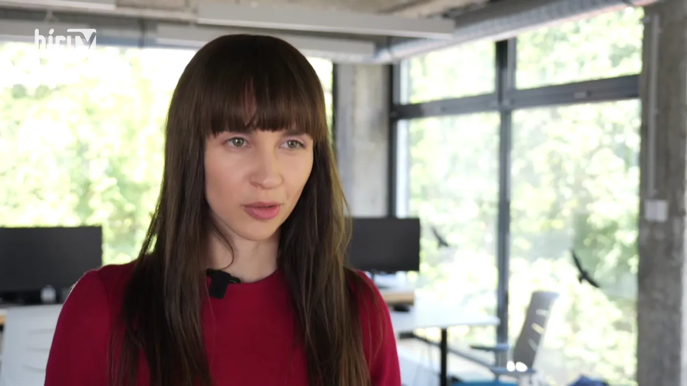 Svenk: A Cicaverzum alkotóival beszélgettünk