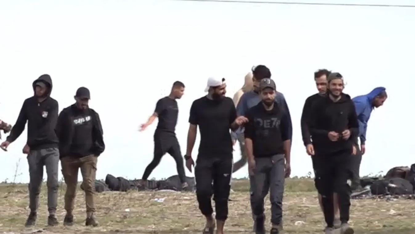 A gazdák állatait lopkodják a migránsok a határ környékén