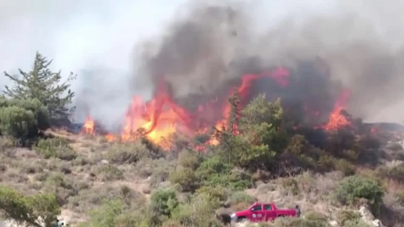 Radar - Pusztító erdőtüzek: ez lehet a megoldás?