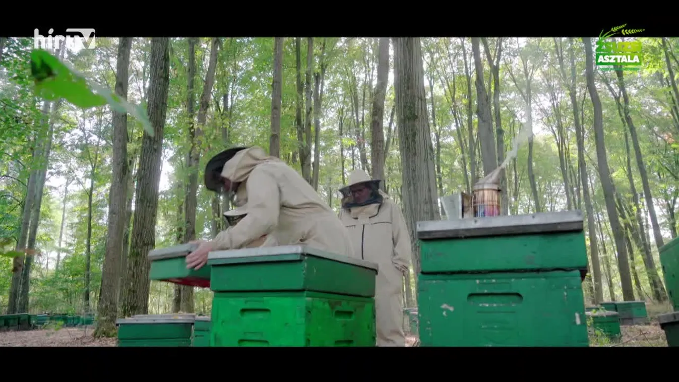 Zsuzsi asztala (2023-11-11)