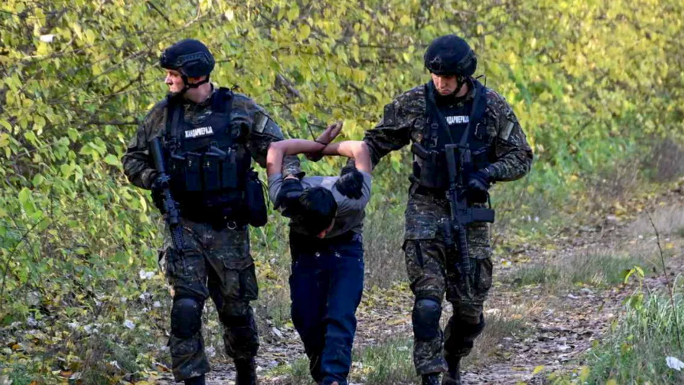 A szerb rendőrség minden fűszál mögé benéz migráns után kutatva a magyar határnál