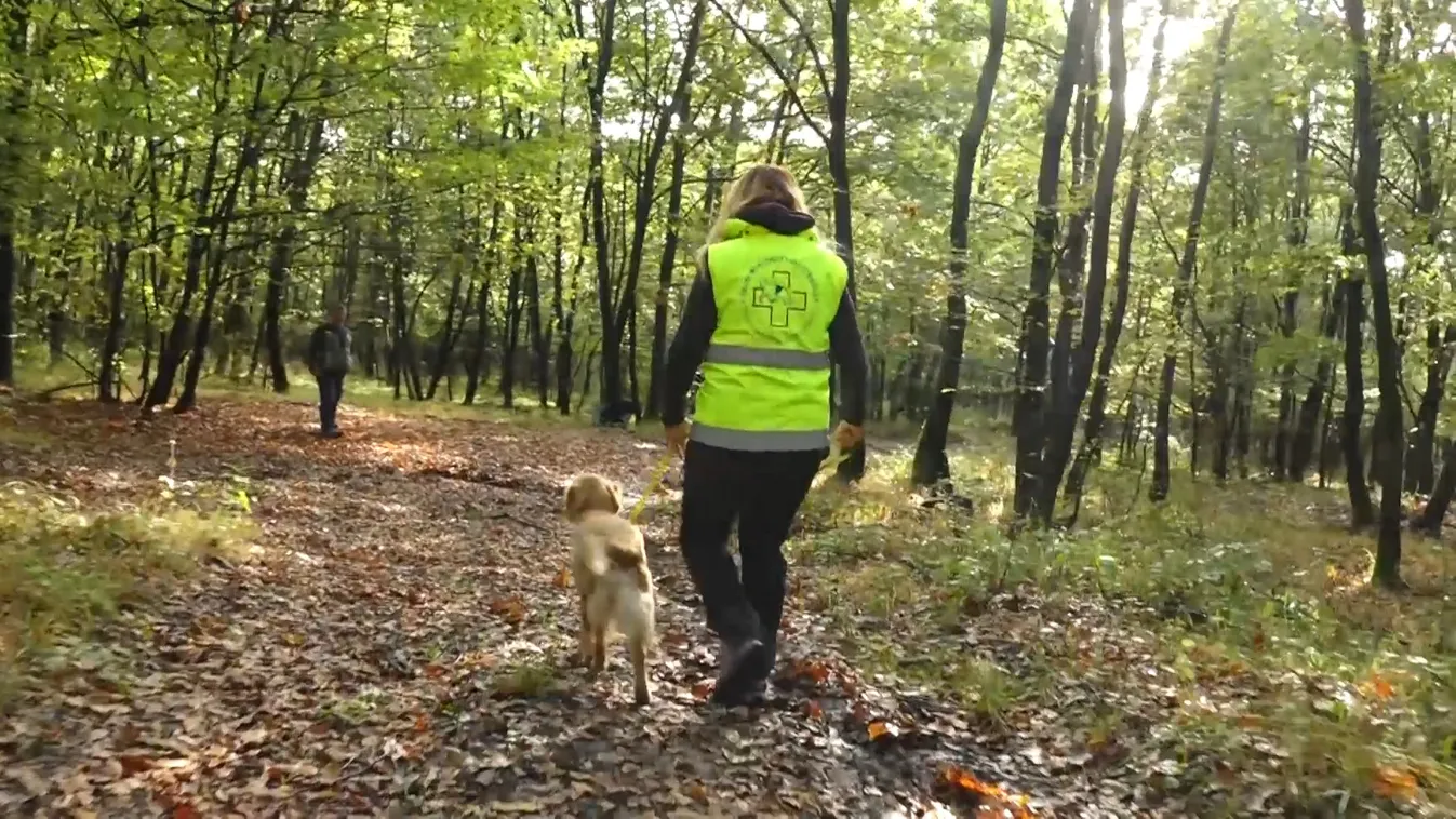 Radar – Bajban a Mentőkutyás egyesület