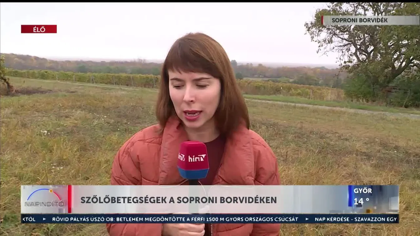 Napindító – Szőlőbetegségek a soproni borvidéken (2023-11-02)