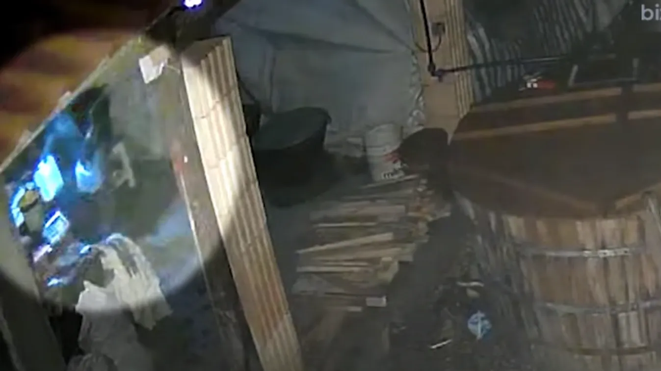 Börtönbe vonul a tolvaj, aki betört egy házba, lopott 10 liter bort, de még a helyszínen meg is itta + videó