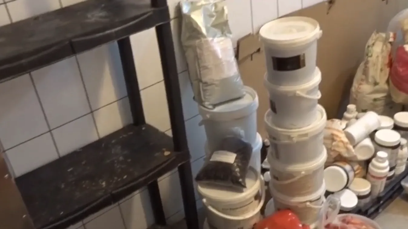 Elképesztő állapotok uralkodtak egy albán pékségben + videó