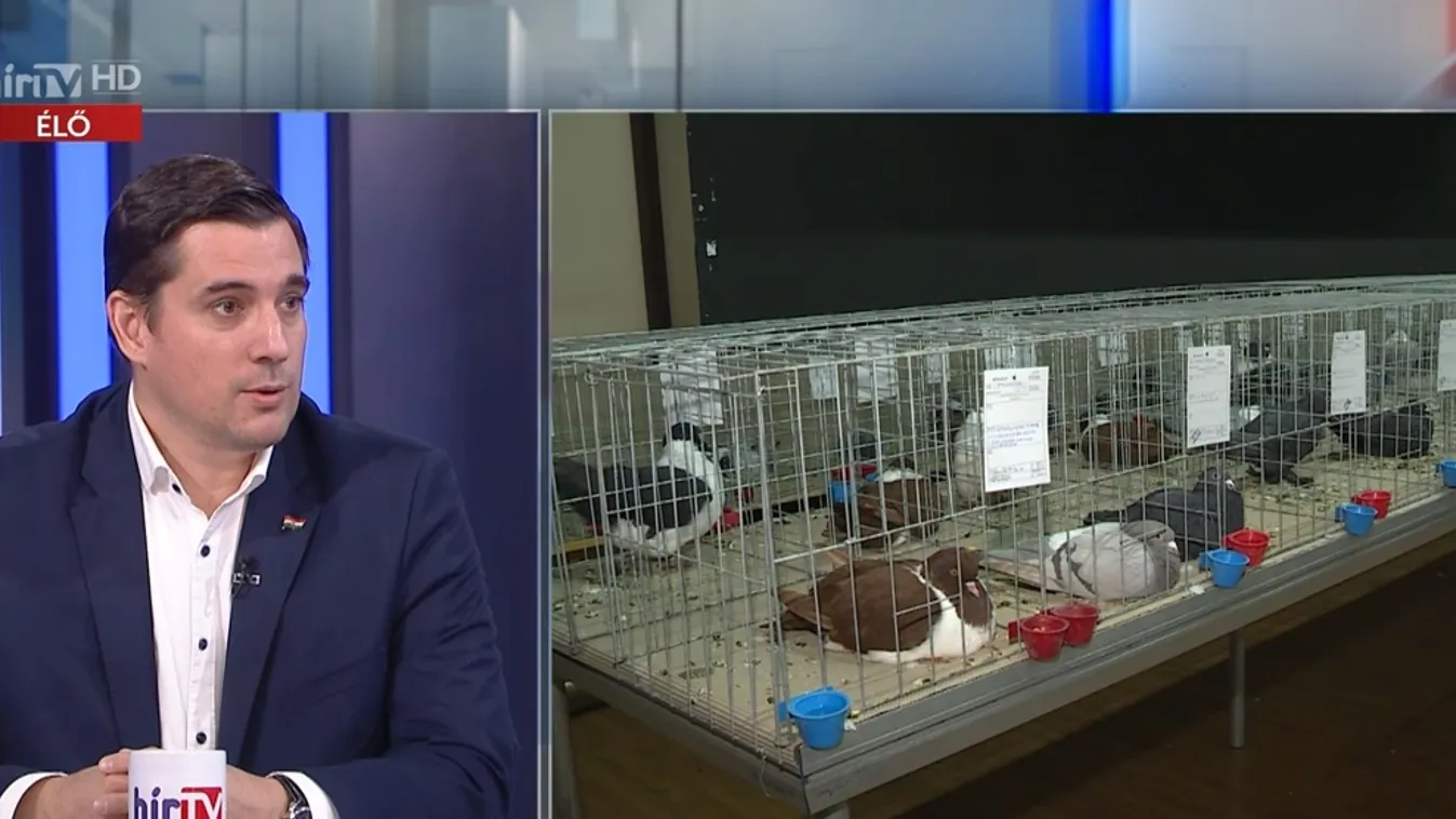 Napindító – Magyar élelmiszerek sikere a világban