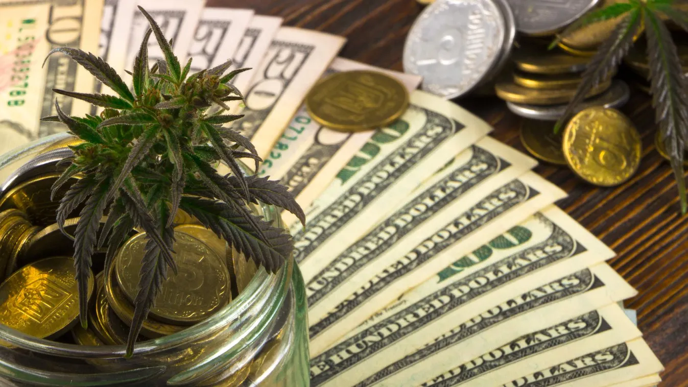 A drogliberalizáció a szervezett bűnözői köröket erősíti