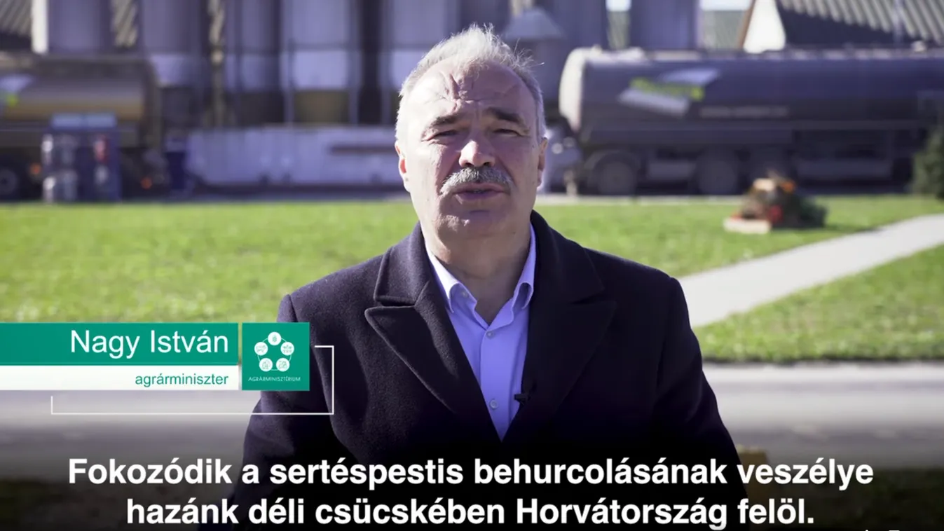 Nagy István: Megvédjük a hazai állatállományt a sertéspestistől