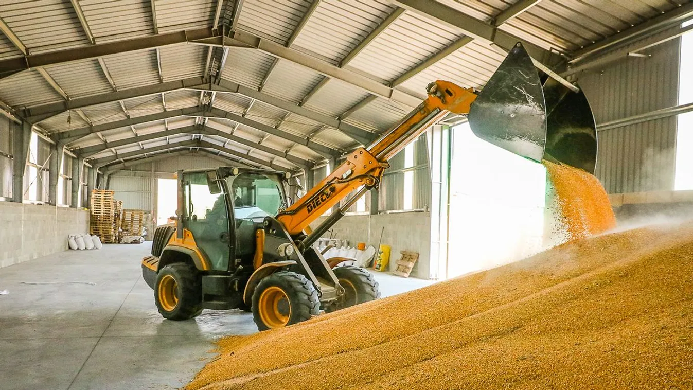 Az egészségünket is károsíthatja az ukrán gabona