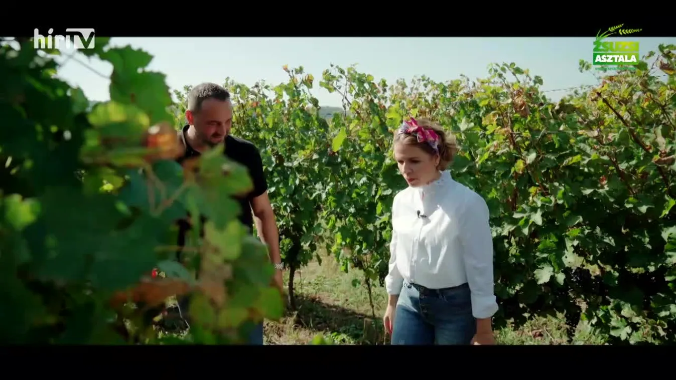 Zsuzsi asztala (2023-11-04)