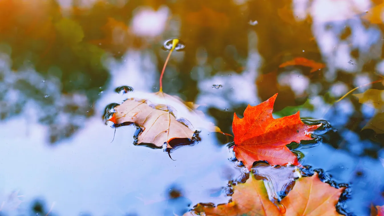 Esőzésre és fagyra is számítani kell a következő napokban